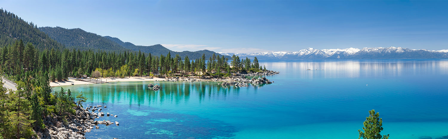 The Jack Savage Foundation 2023 background