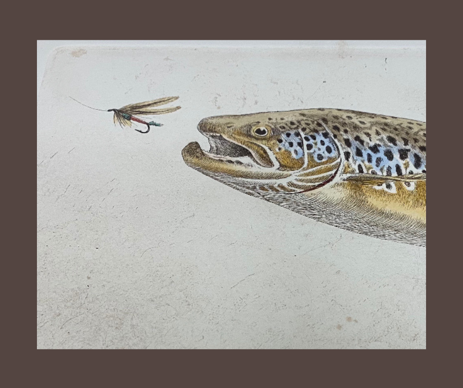 『TROUT OF THE YELLOWSTONE』byMikeStidham Trout Of The Yellowstone Bymikestidham Lure | eBay