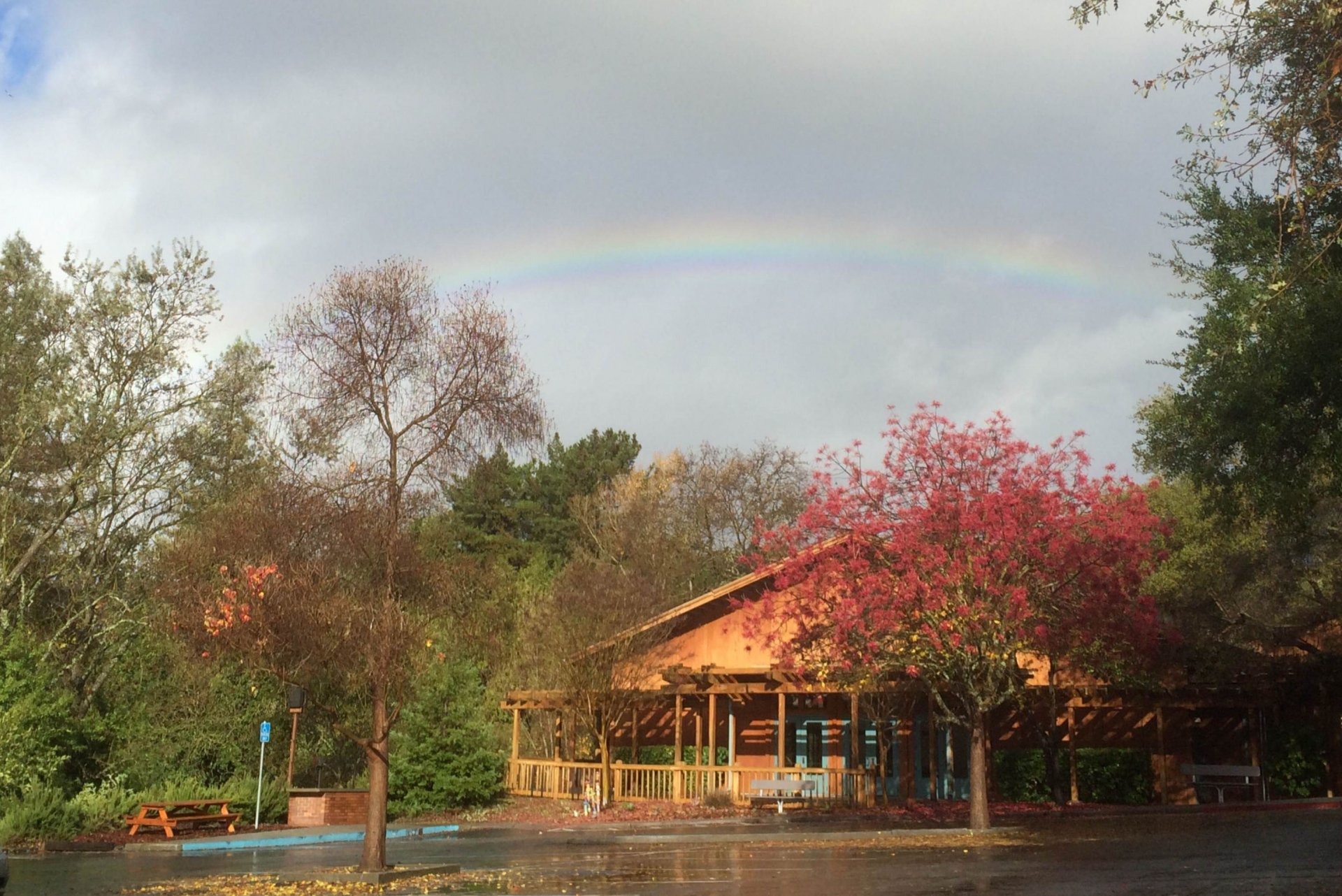 The Springstone School background