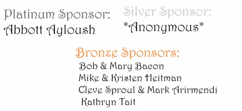 Sponsor logo