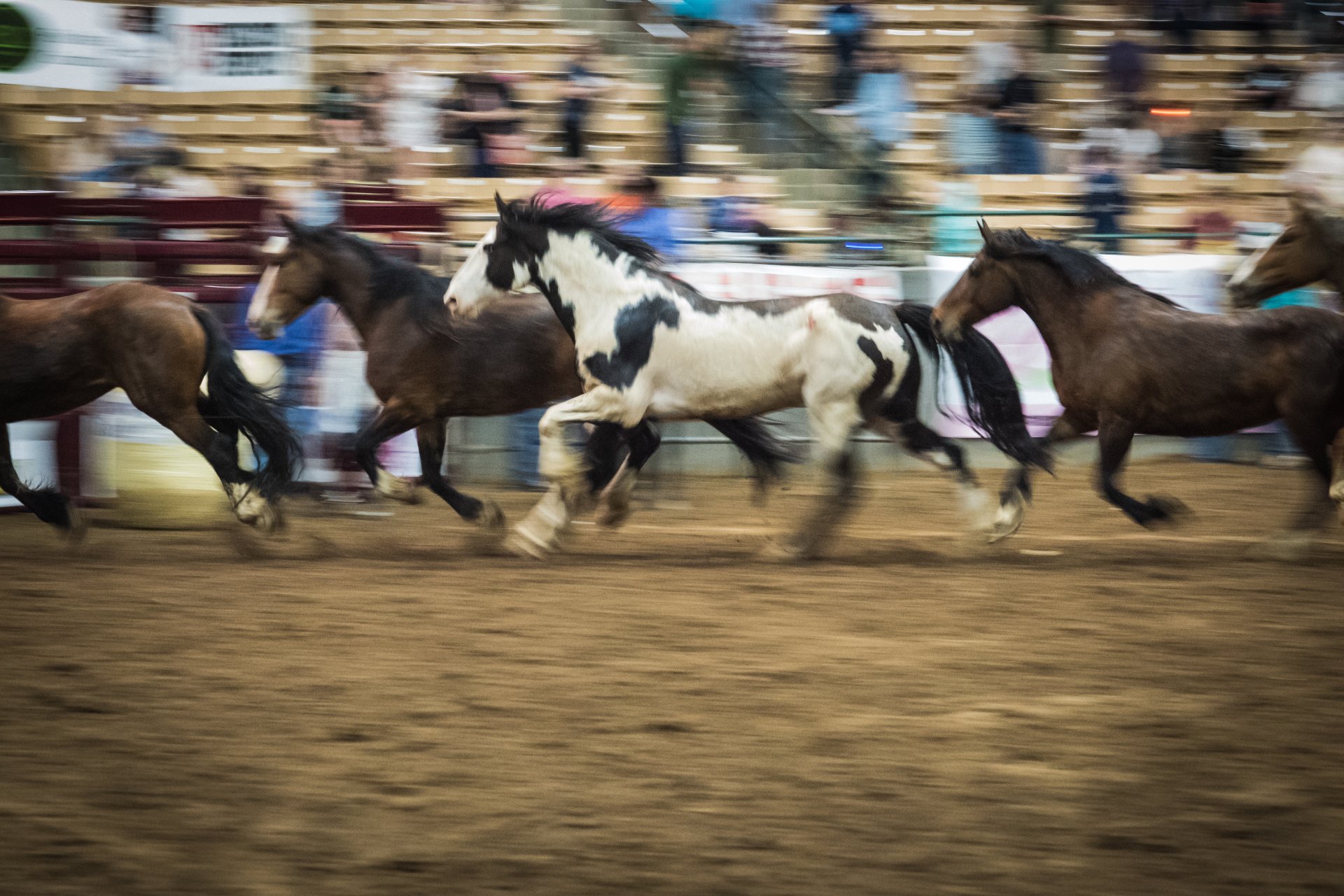 Franklin Rodeo Online Auction background