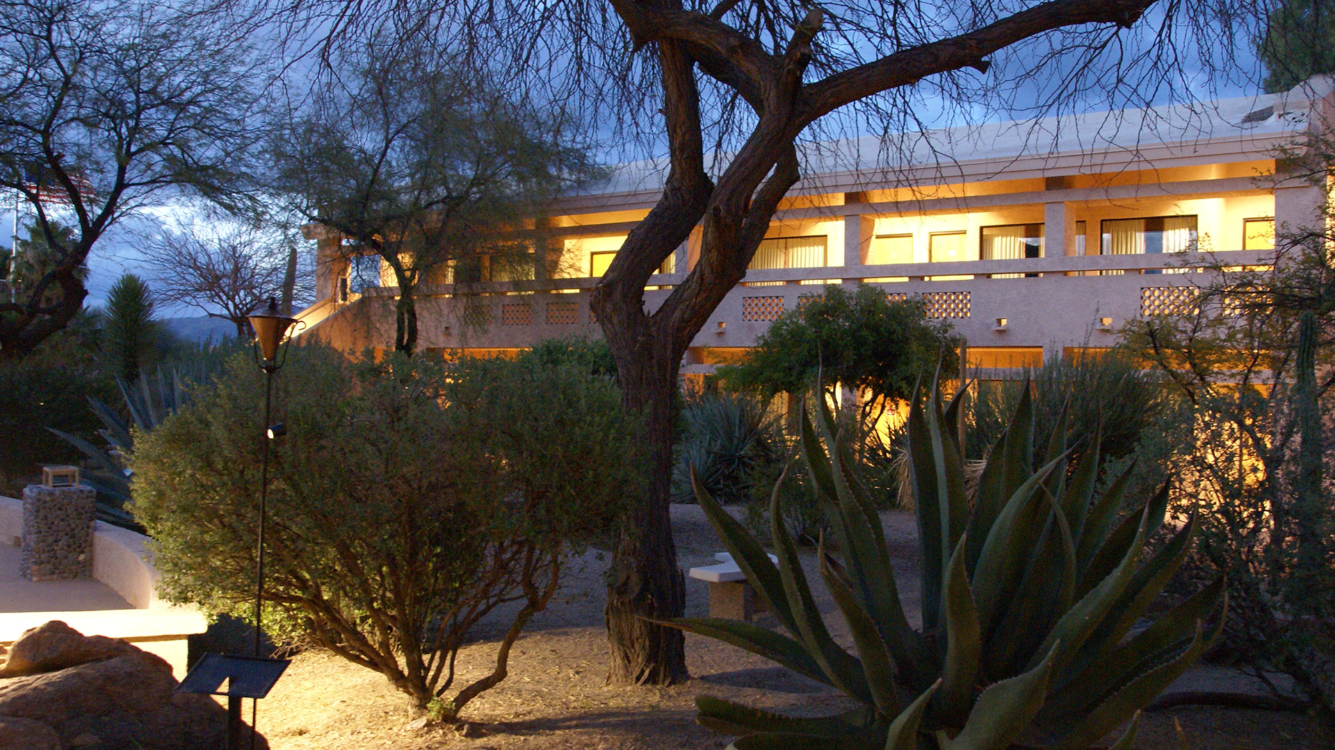 Spirit in the Desert background