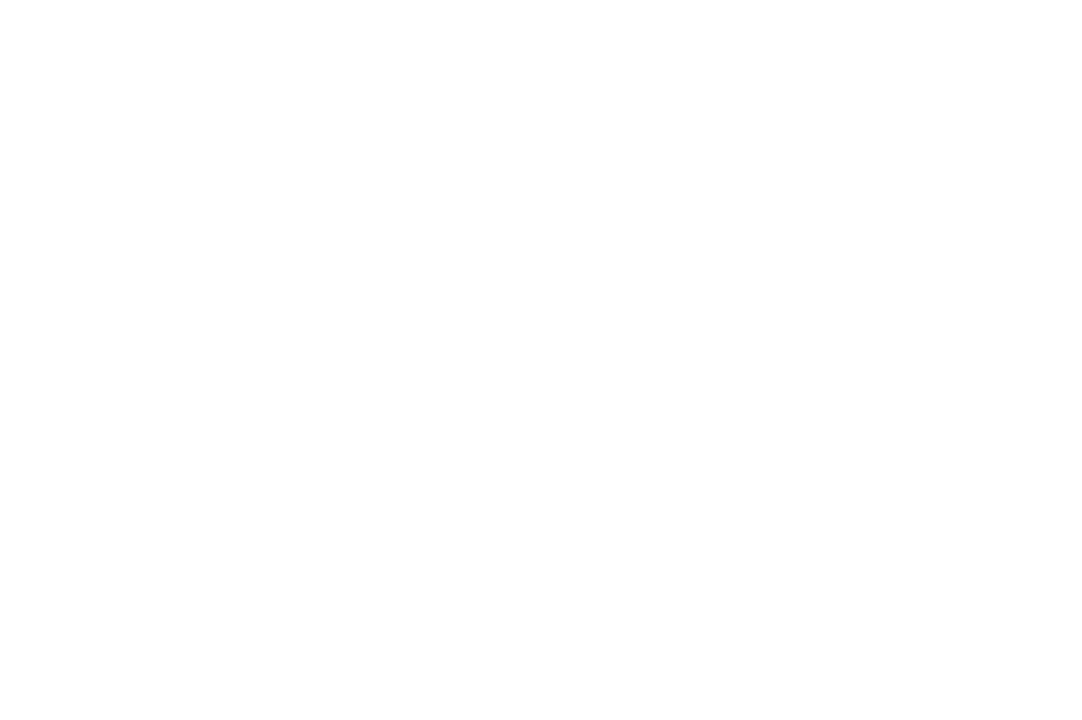 Spirit in the Desert logo