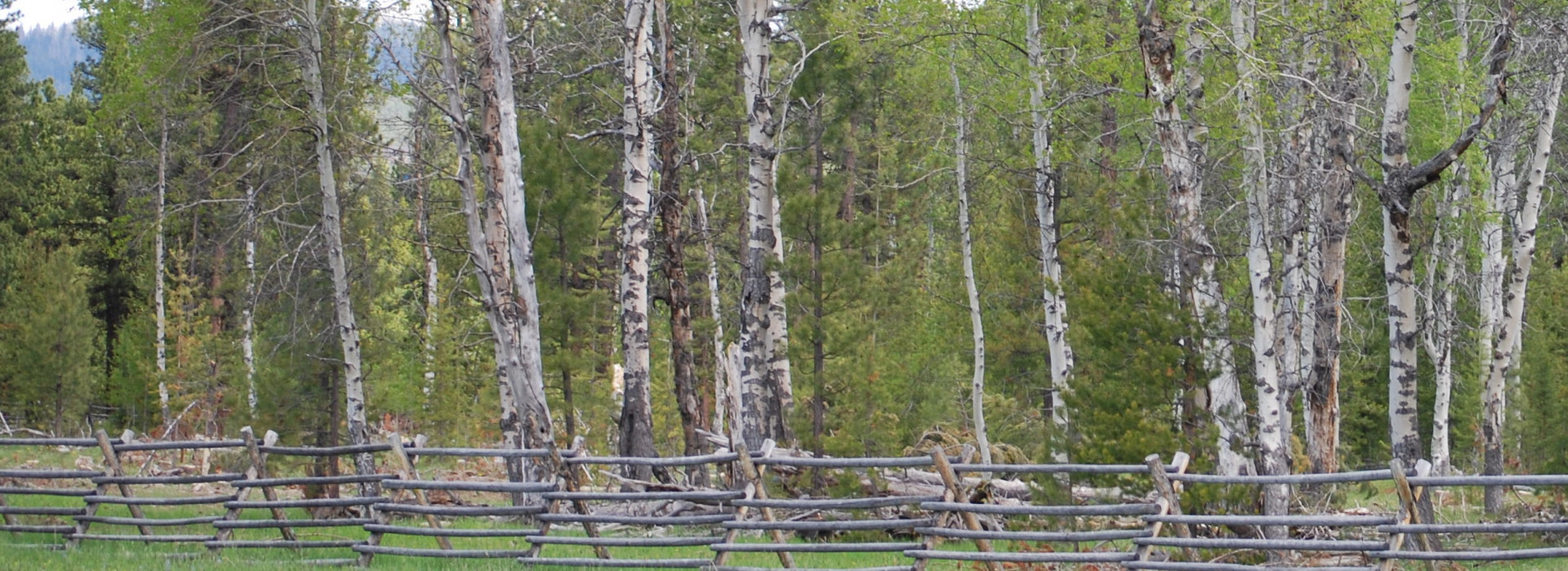 Capitol Chapter OHA background