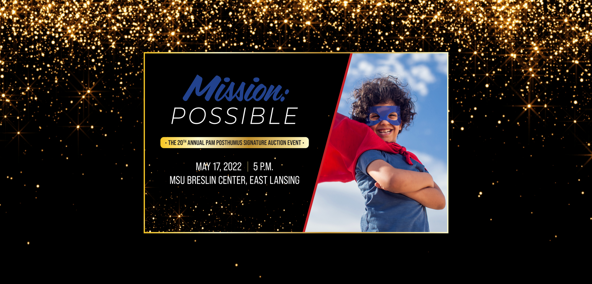 20th Annual Pam Posthumus Signature Auction Event background