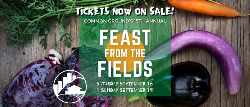 Common Ground + New Haven Ecology Project banner