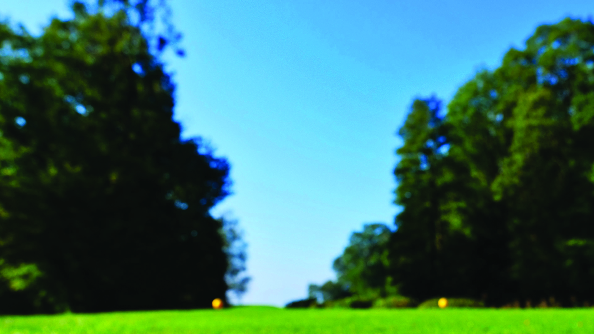 Big Give Re/Max Silent Auction background