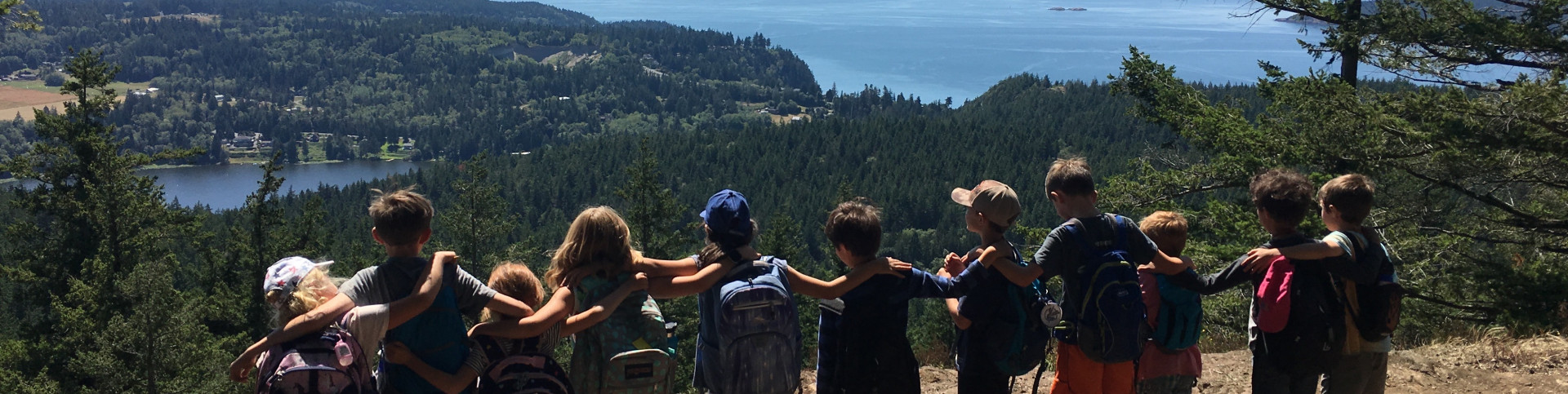 Friends of the Forest Annual Benefit background