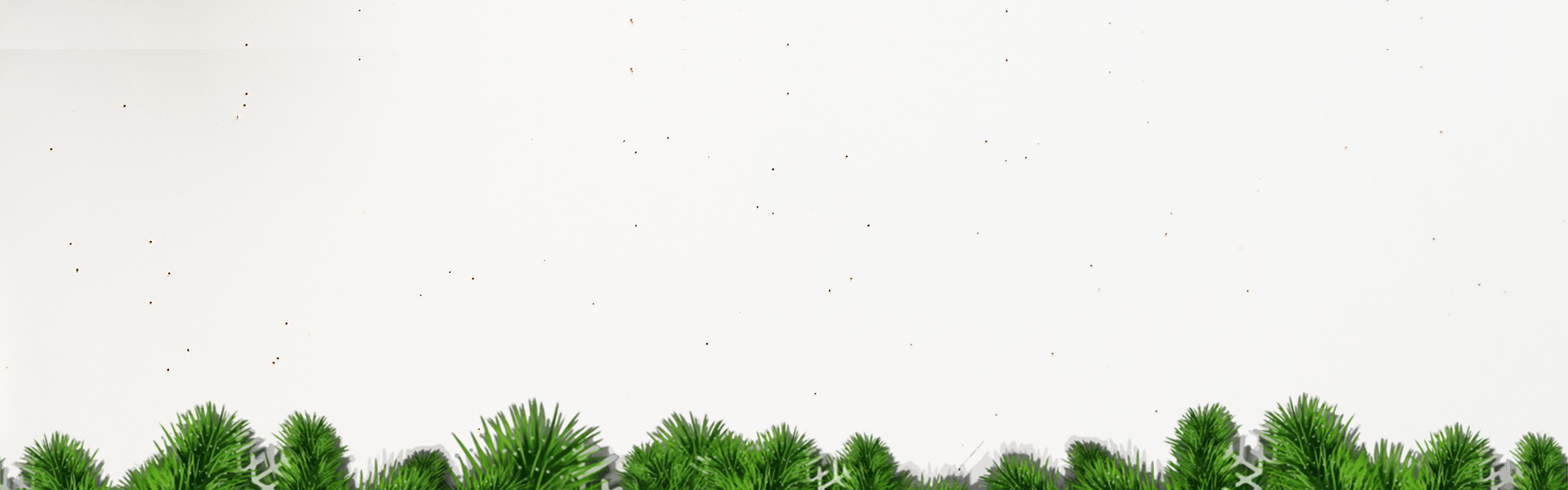 CCCF 2022 background