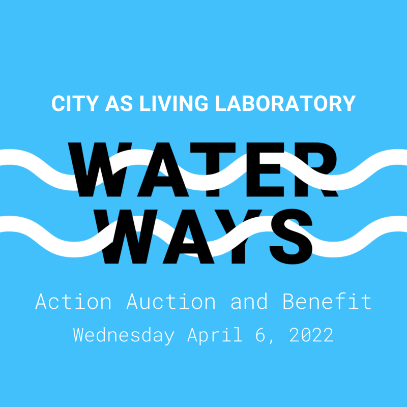 ACTION AUCTION: WATER WAYS logo