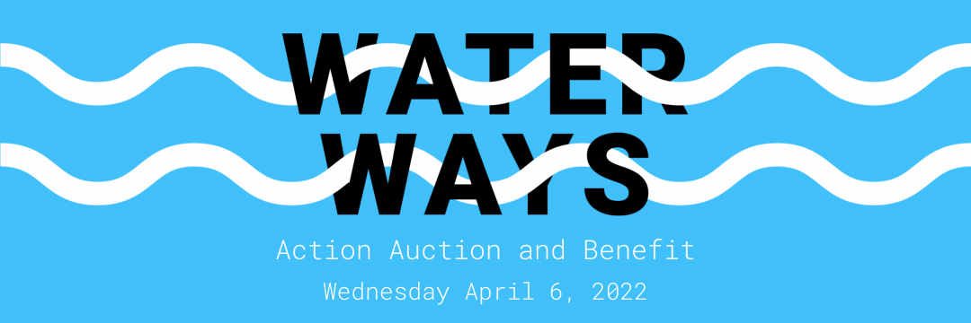 ACTION AUCTION: WATER WAYS banner