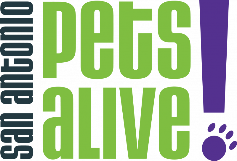 Text To Give logo