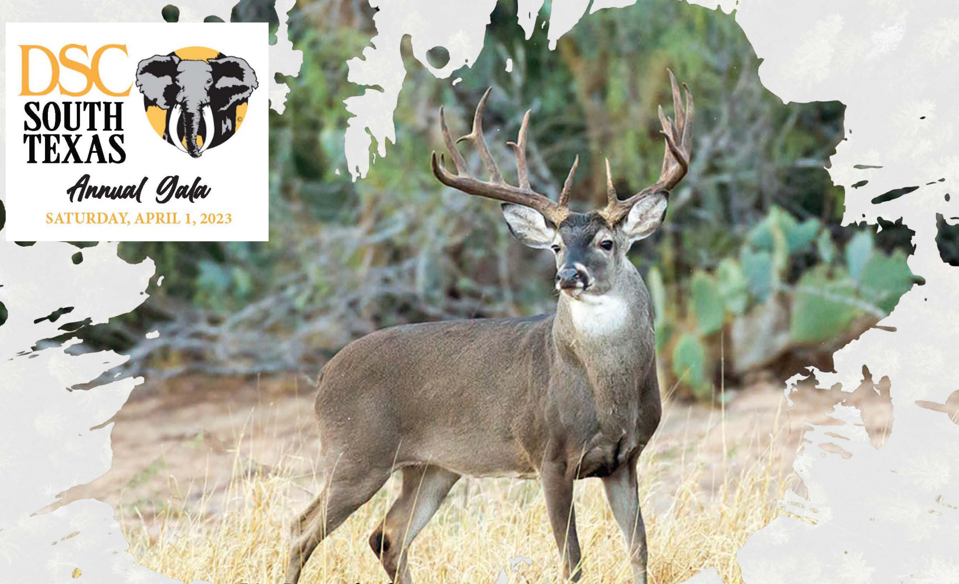 DSC South Texas Chapter background