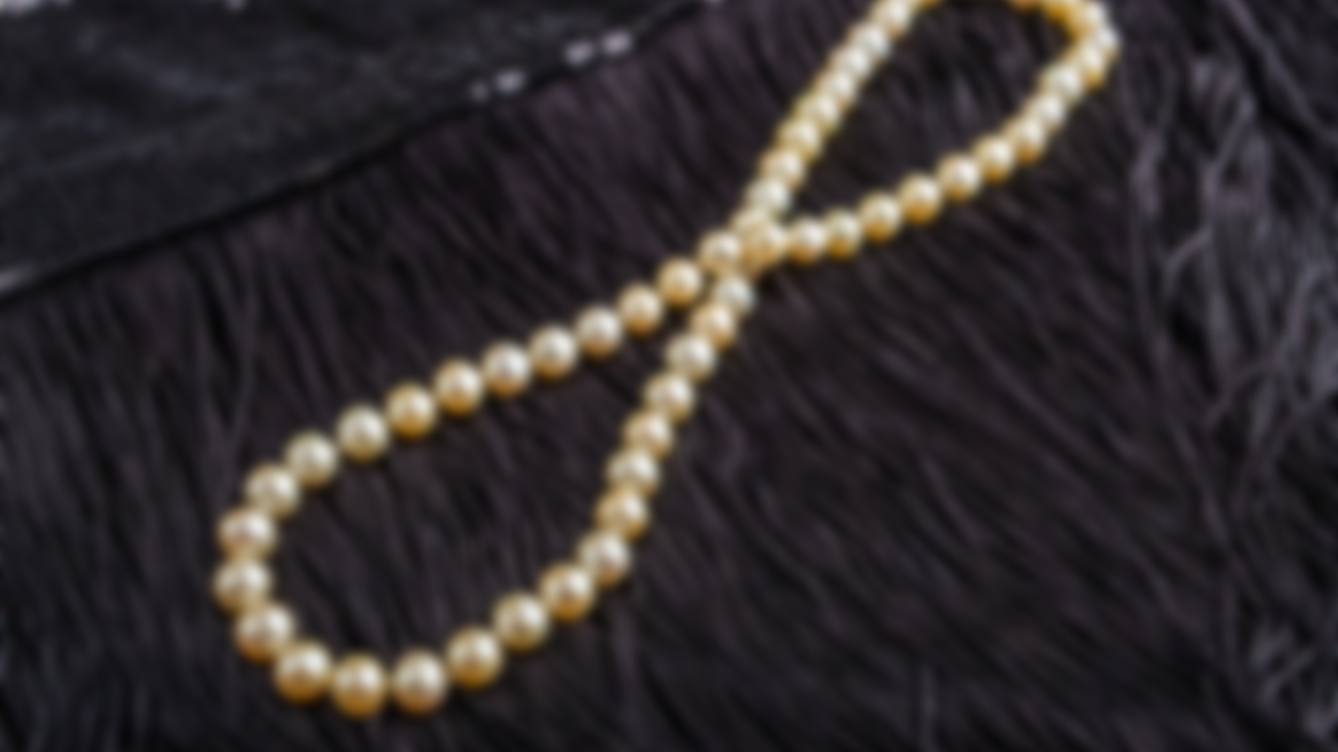 Power of the Purse 2023 background