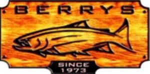 Sponsor logo