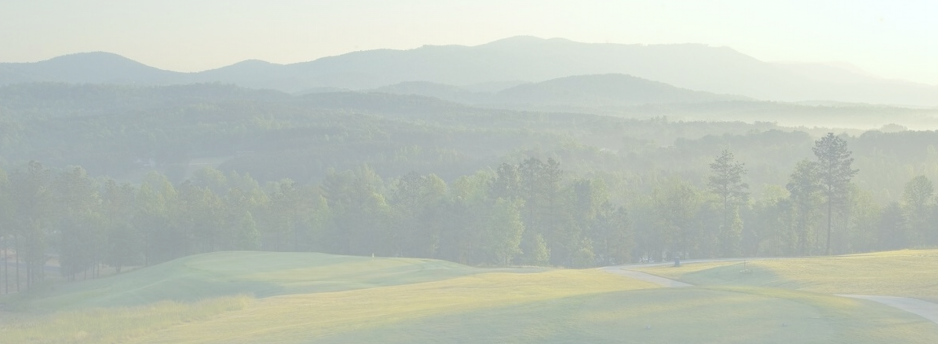 SynGAP Research Fund background