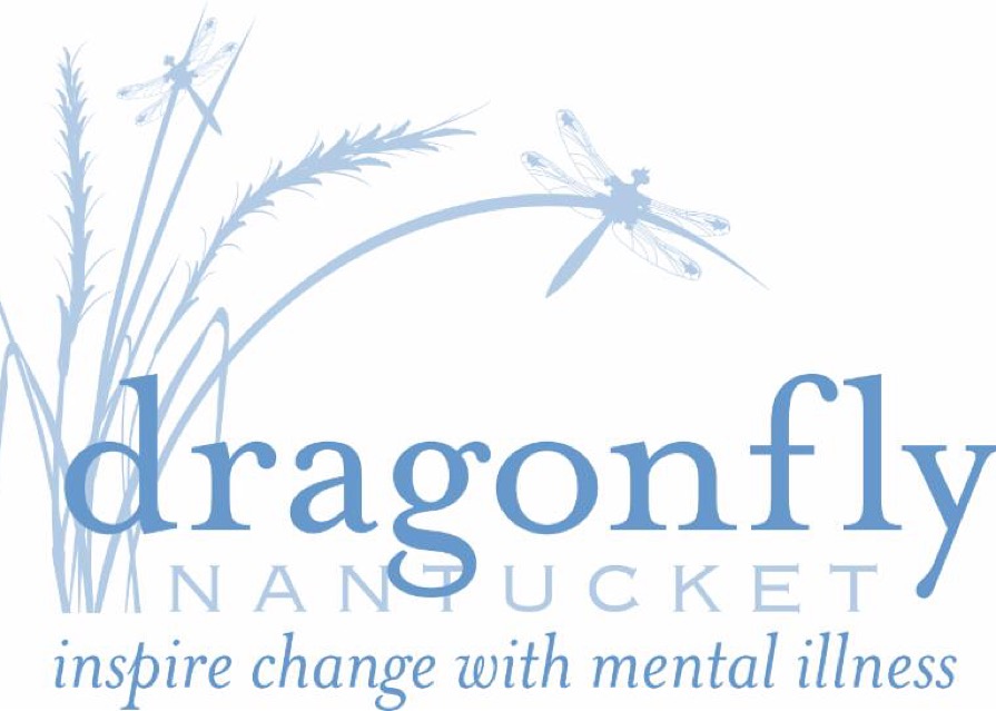 Dragonfly Fundraiser  logo