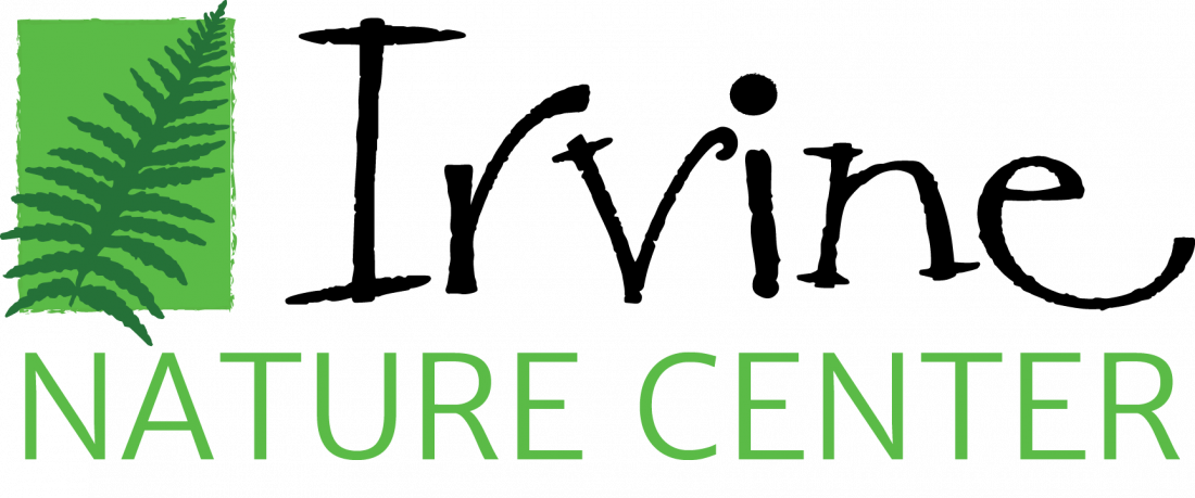 Pumpkins on the Green 2022 logo