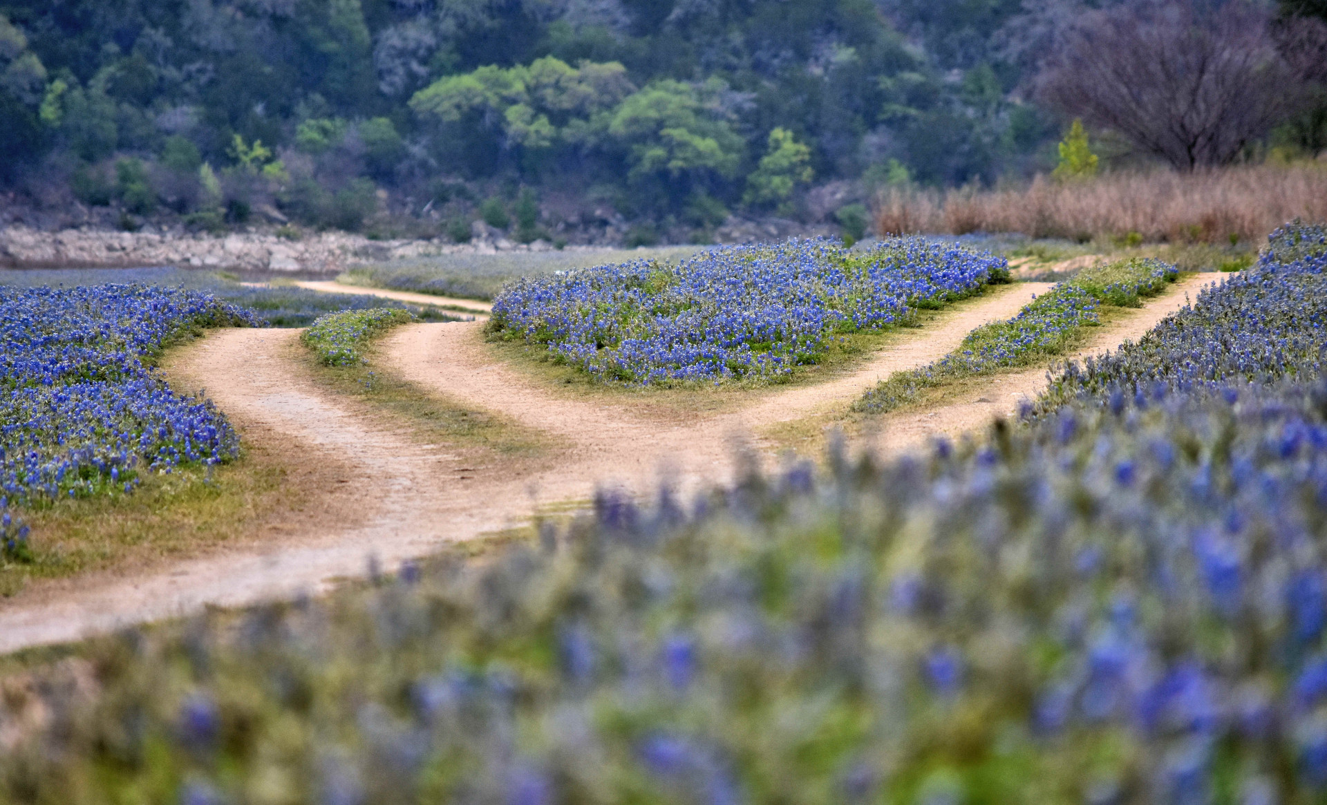 Hill Country Alliance  background