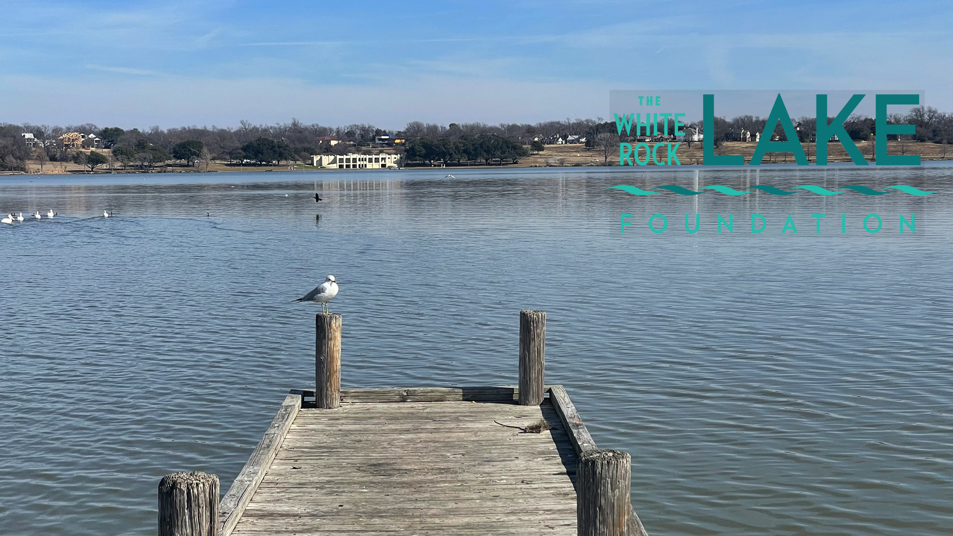 White Rock Lake Foundation background