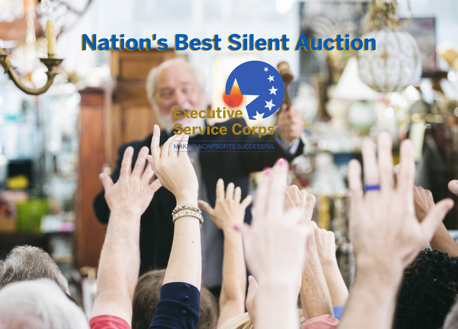 Executive Service Corps Auction background