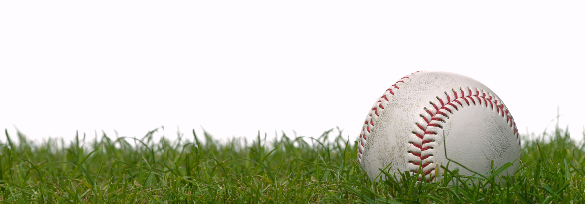 DHYS's Silent Auction background