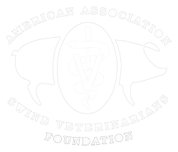 2023 AASV Foundation Auction logo