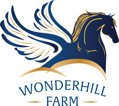 Wonderhill Farm Egg-stravaganza logo