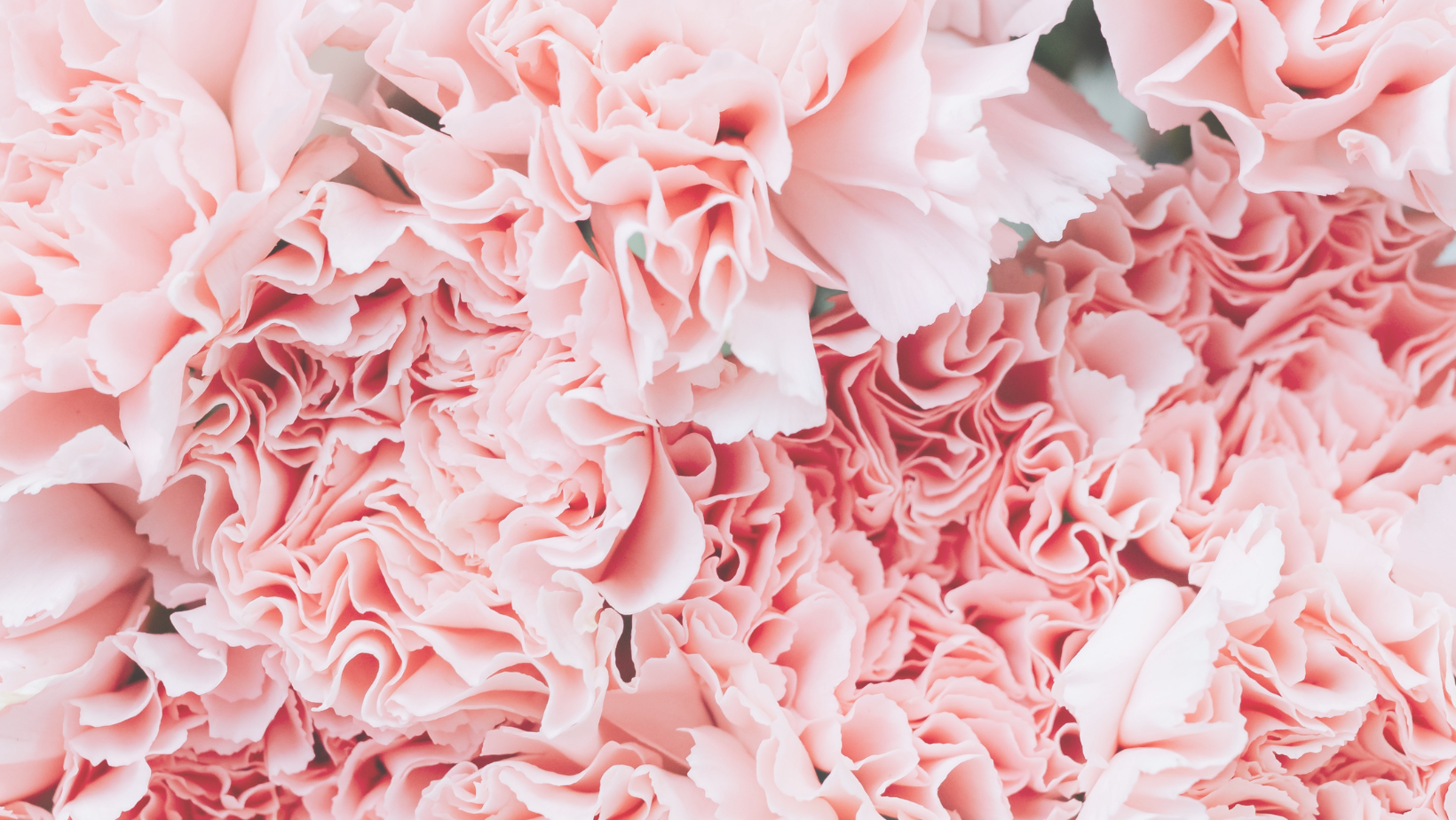 Fete en Rose background