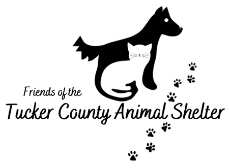 Save A Stray Soiree logo