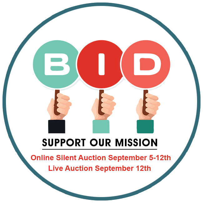 Natural Stone Institute Auction logo