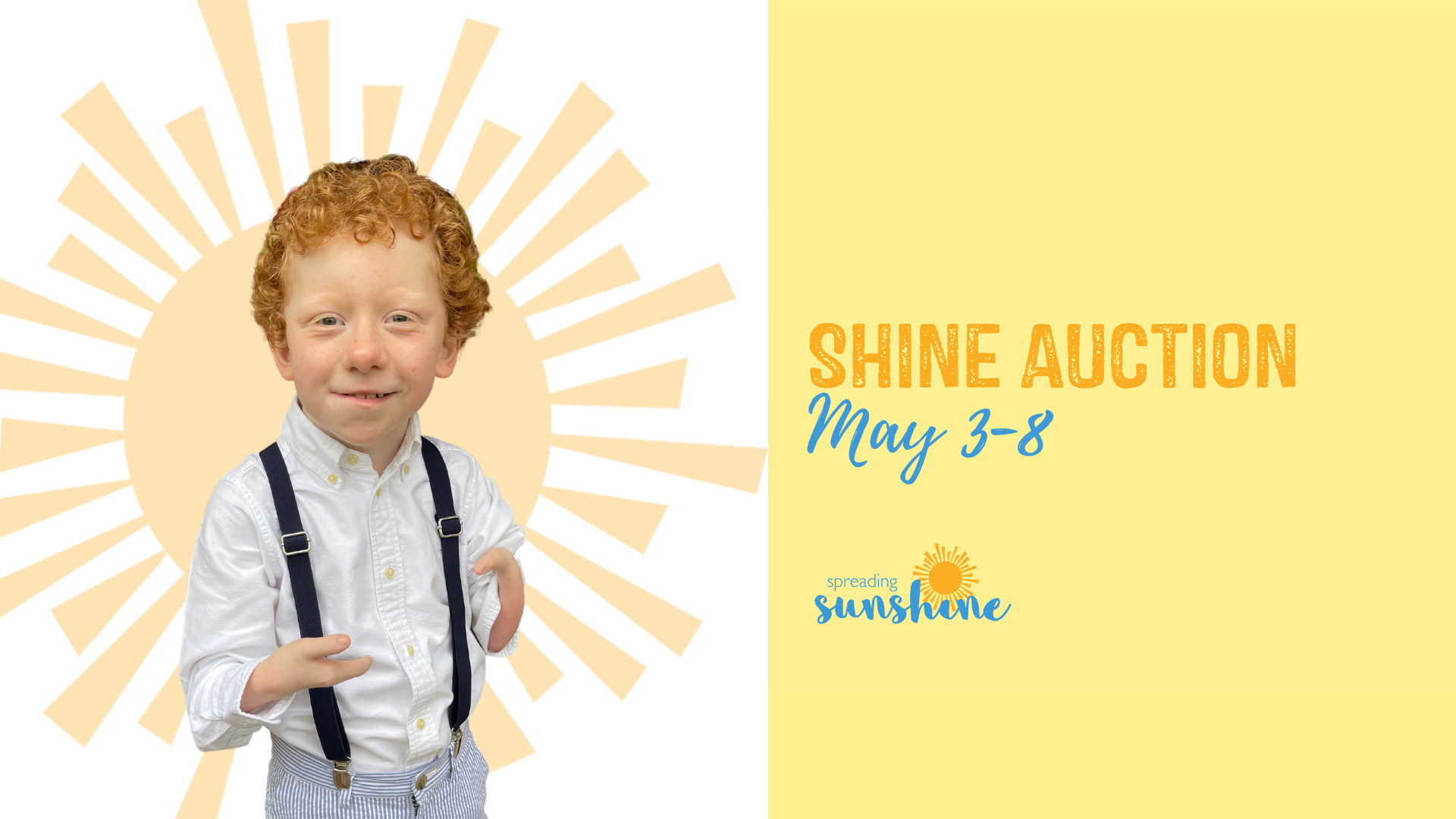 2023 Shine Auction  background