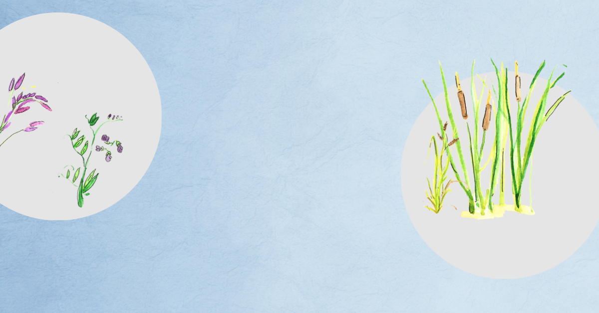 Annual Celebration background