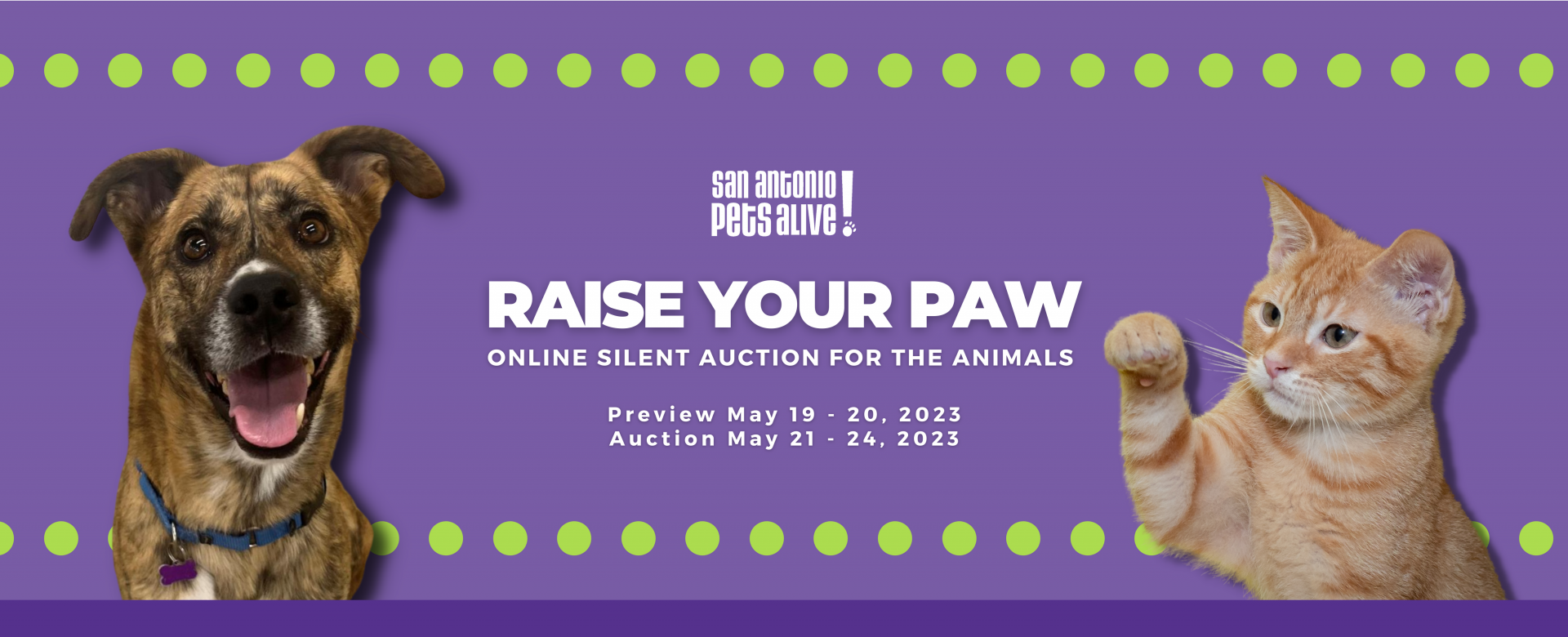 Raise Your Paw - SAPA!'s Mini Spring Silent Auction background