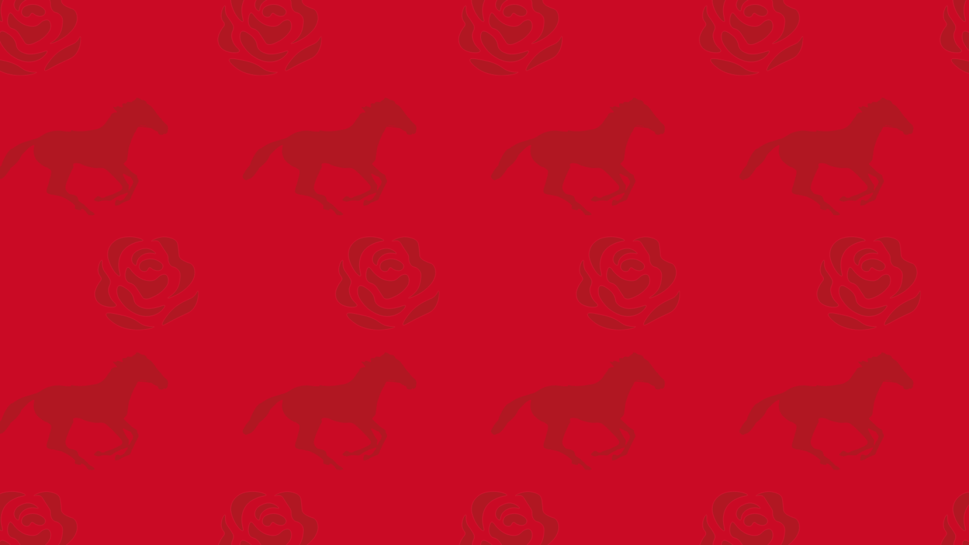 Eaglefest 2023 background