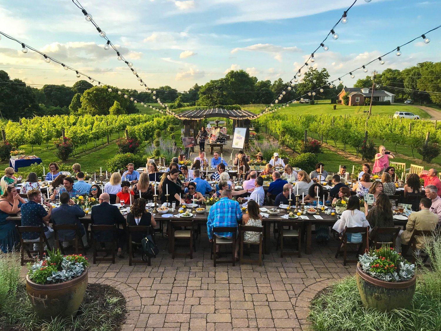 Dinner in the Vines background