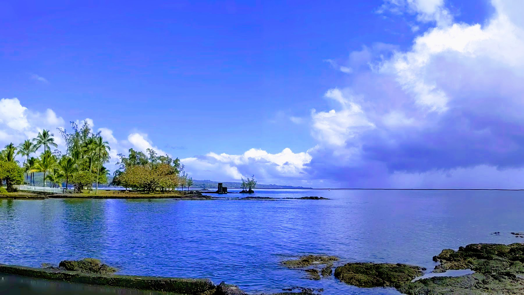 Junior Achievement of Hawaii Island background