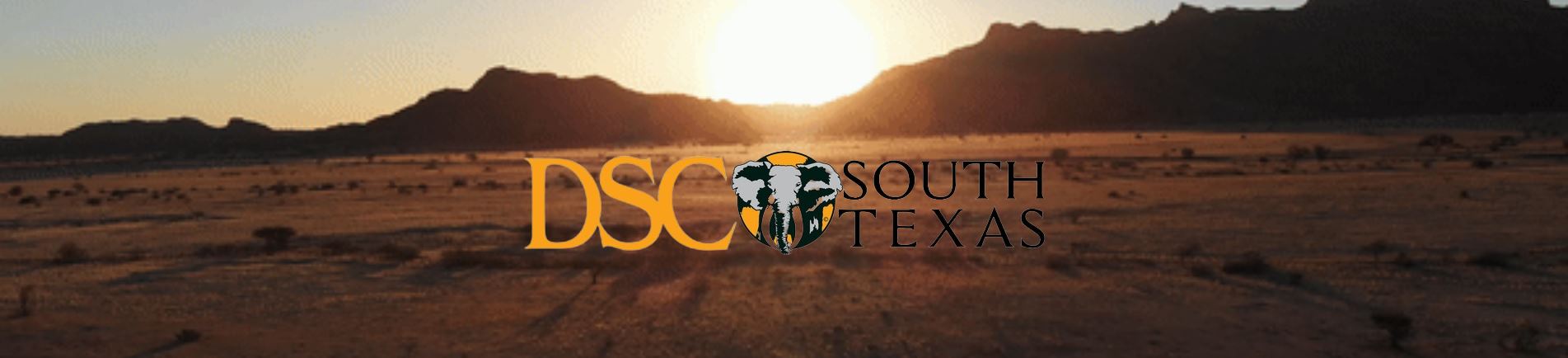 DSC Gala Sponsorships background