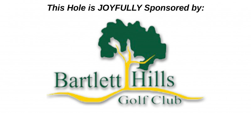 Sponsor logo