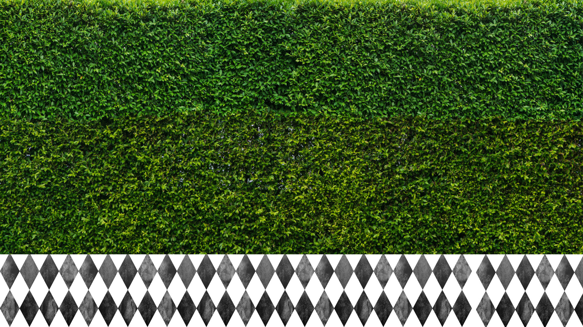 Wonderland background