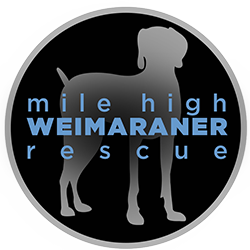 Mile High Weimaraner Rescue (MHWR) logo