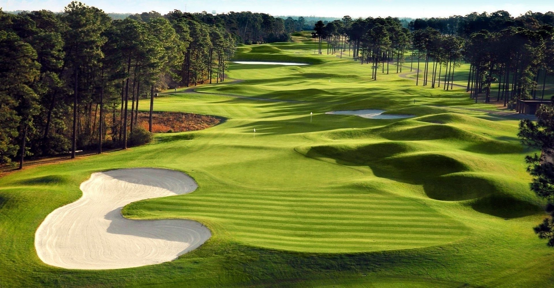 Golf Outing Demo background